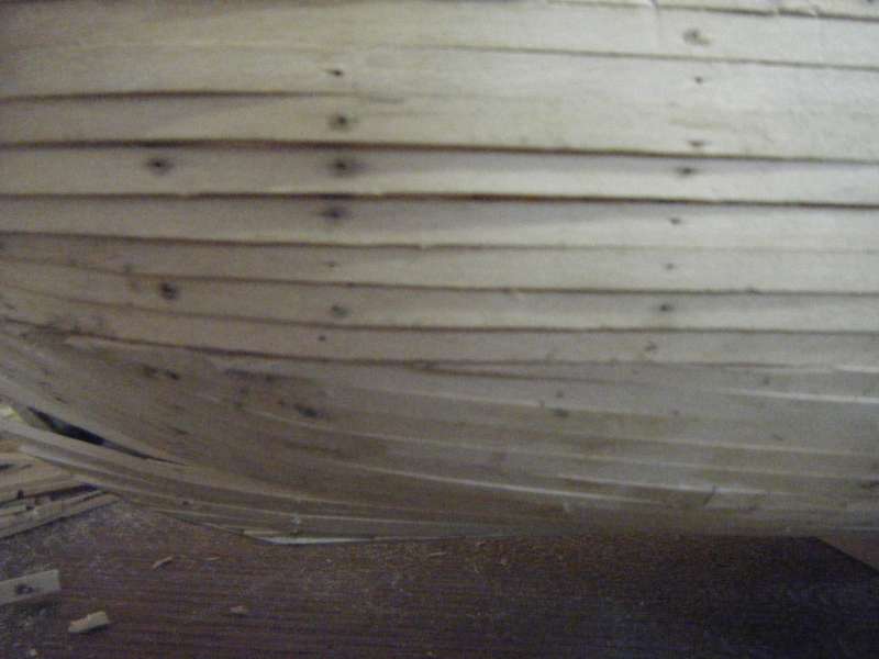 DSCF5721-800.jpg