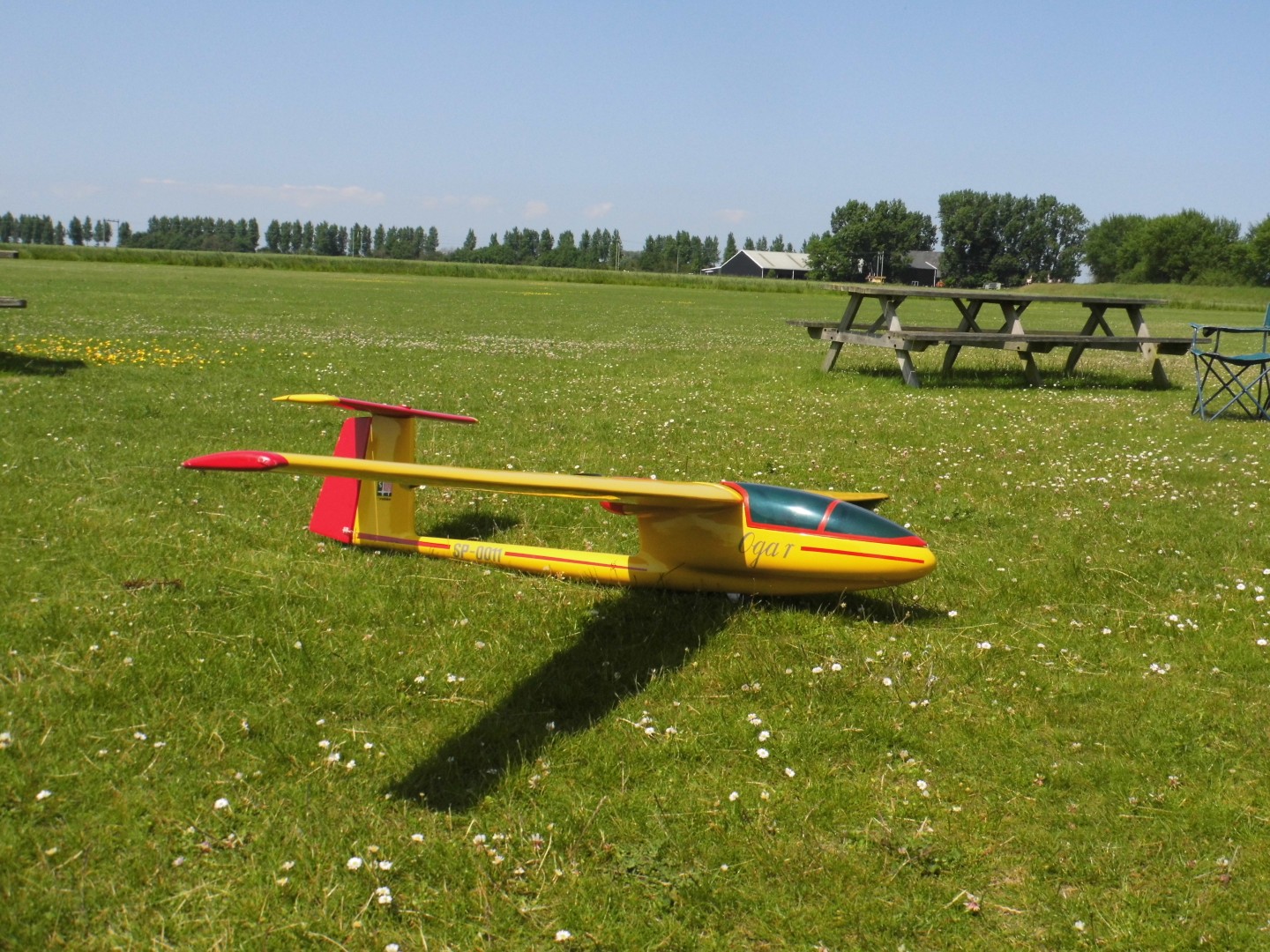 DSCI0759 (Groot).JPG