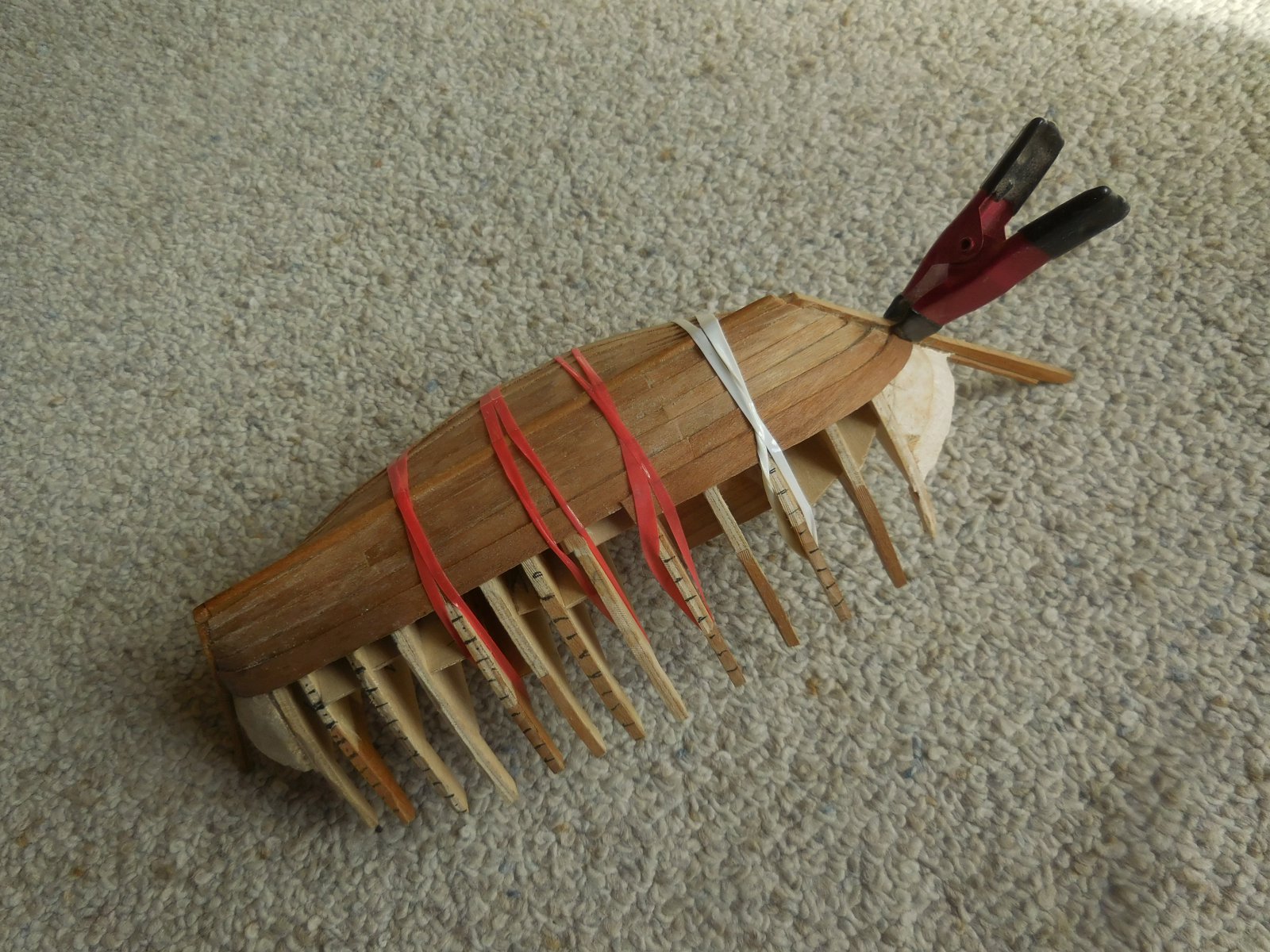 DSCN3041.JPG
