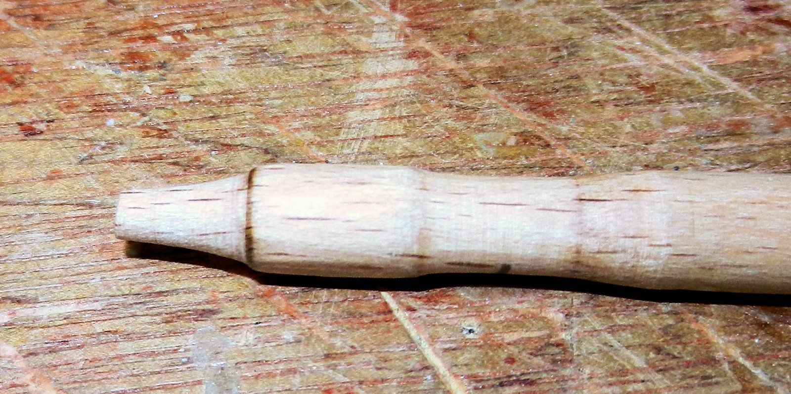 DSCN3113.JPG