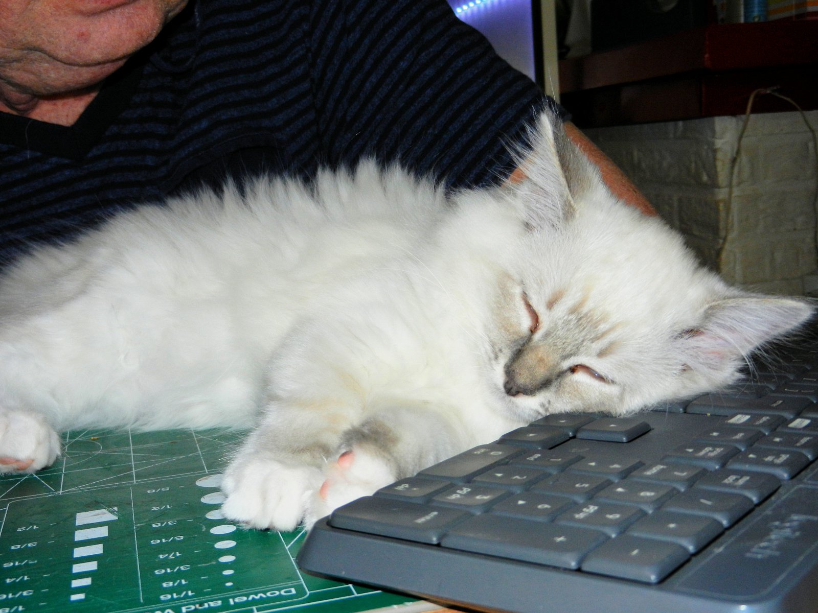 DSCN3392.JPG