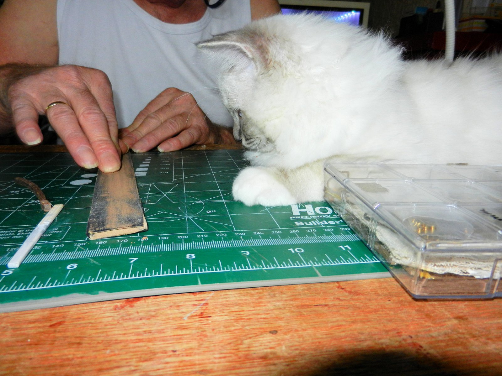 DSCN3468.JPG
