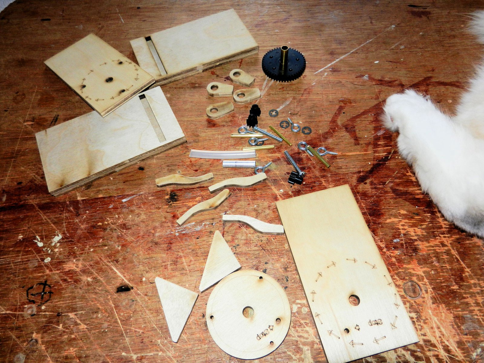 DSCN3618.JPG