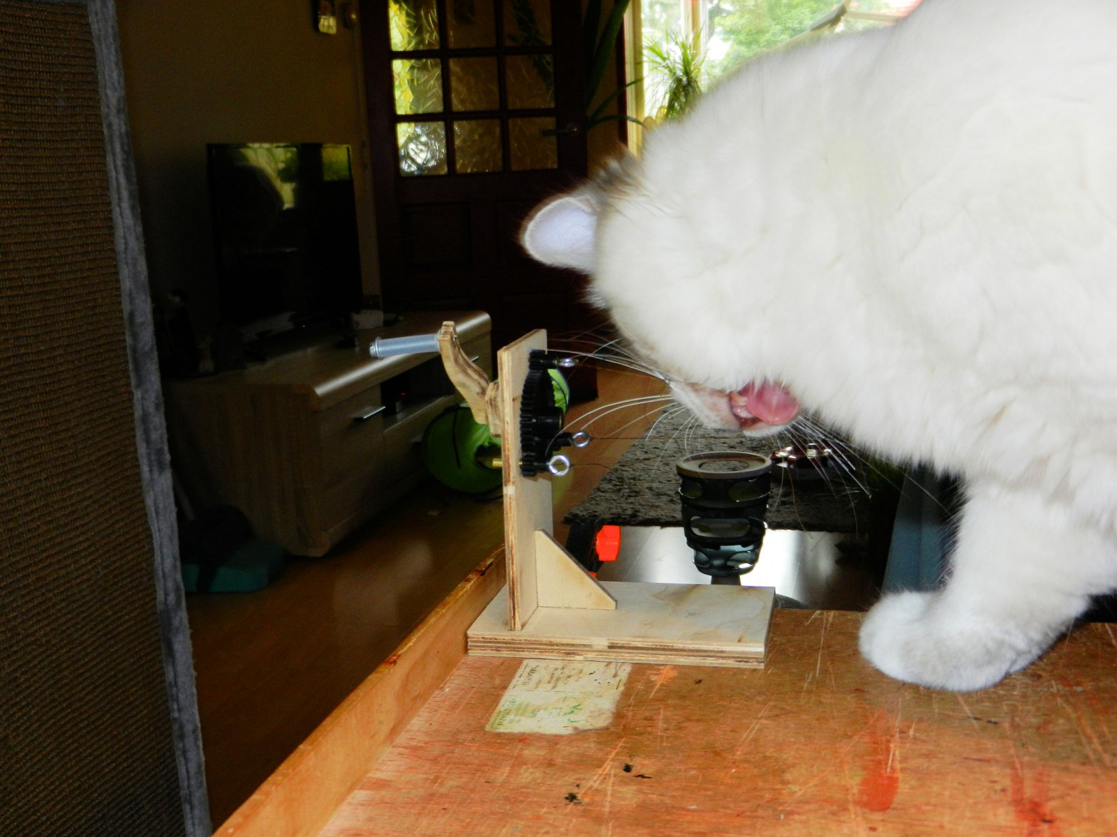 DSCN3644.JPG