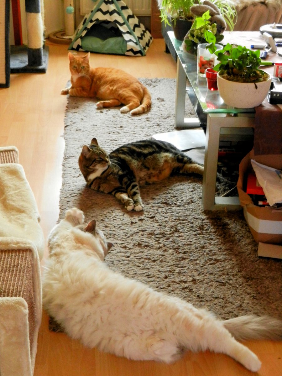 DSCN4195.JPG