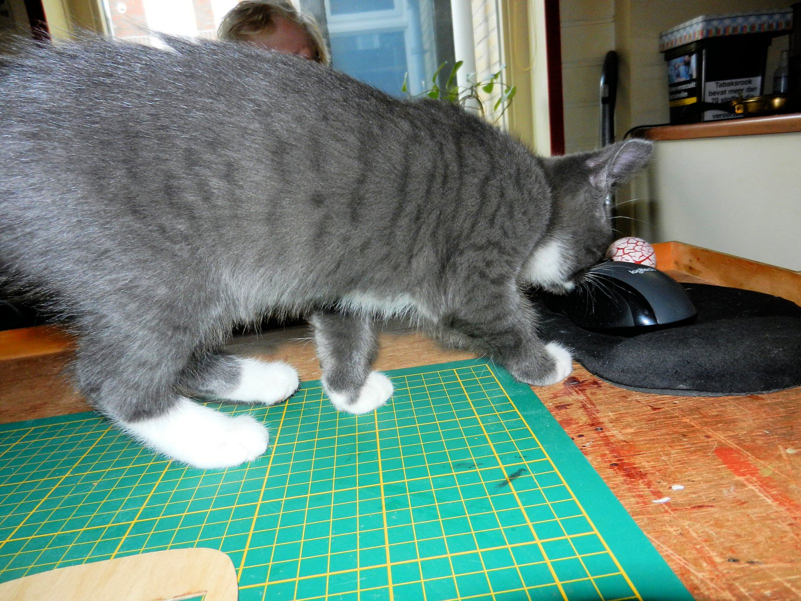 DSCN4366.JPG