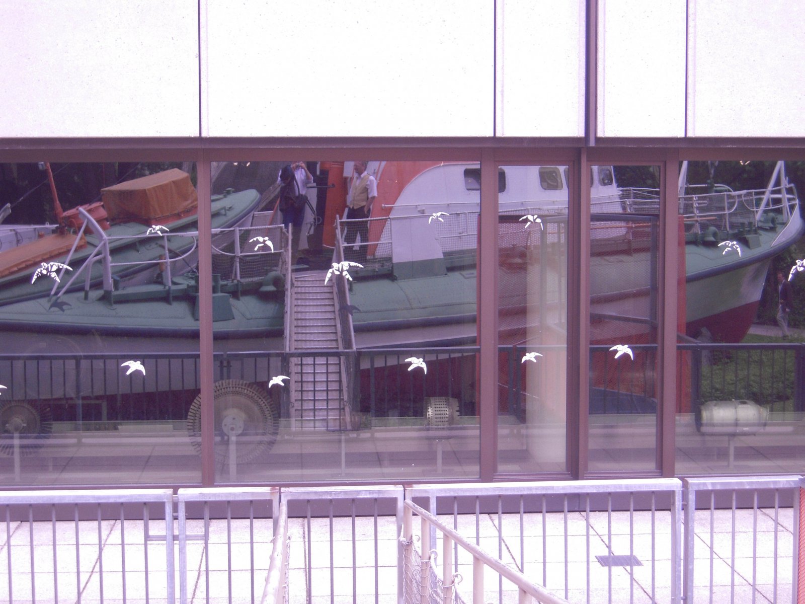 DSCN4753-Bew.jpg
