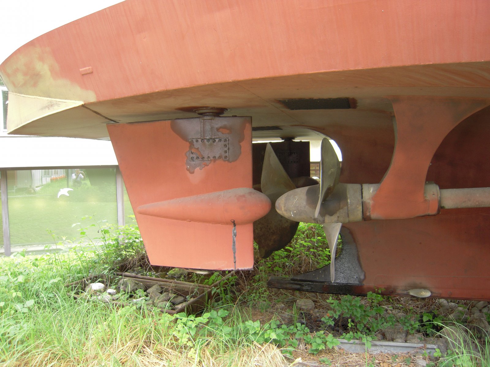 DSCN4822.JPG