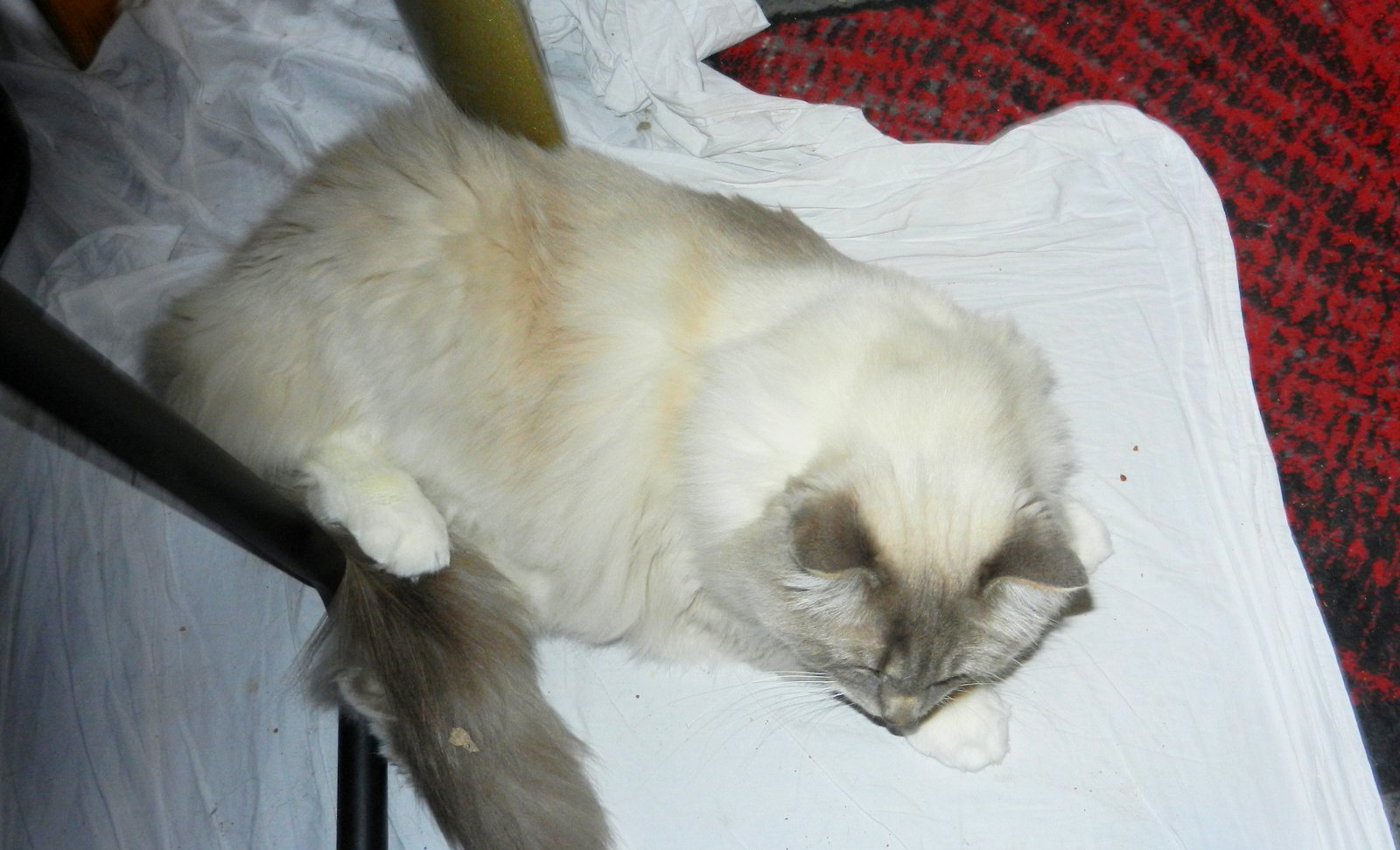 DSCN5144.JPG