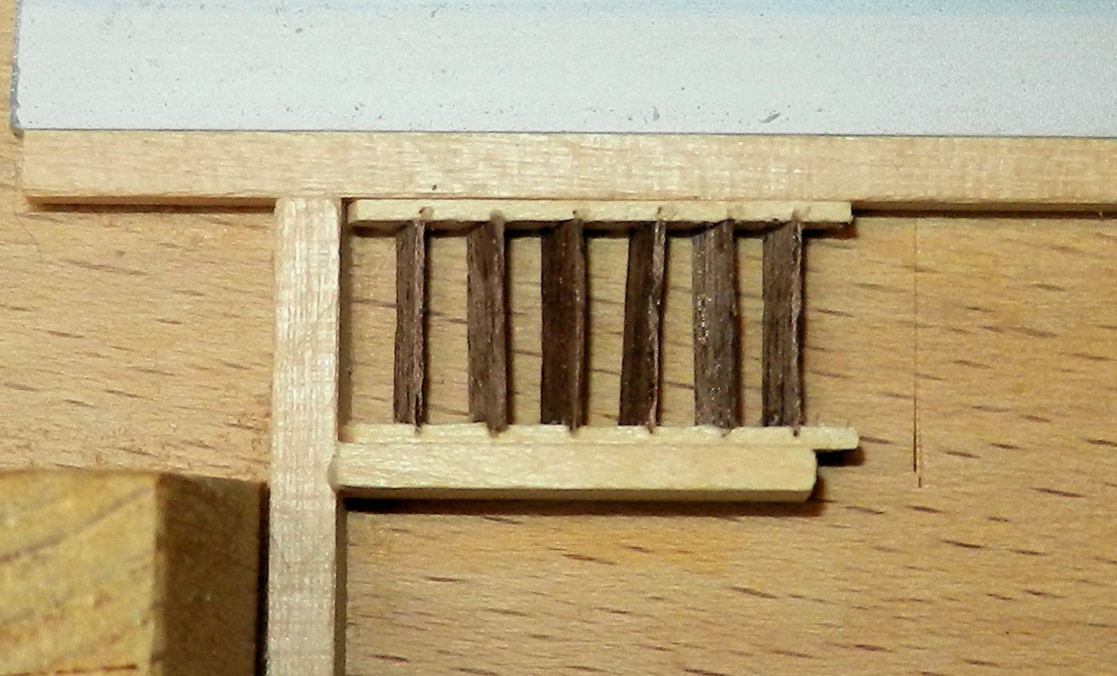DSCN5206.JPG