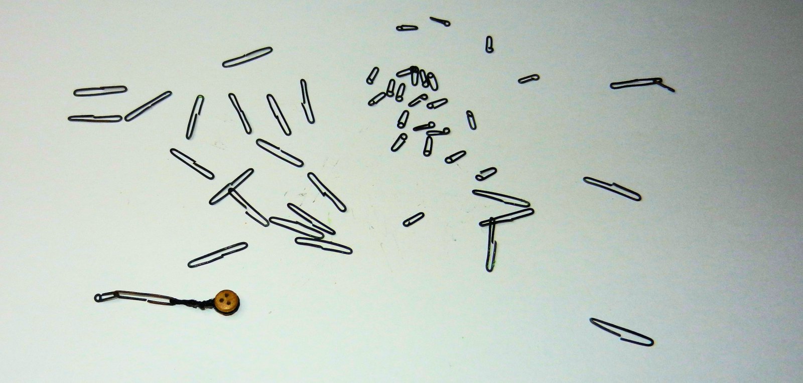 DSCN5247.JPG