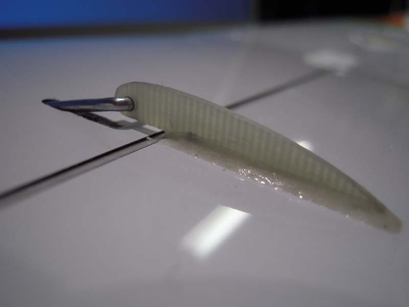 DSCN6105-LR.jpg