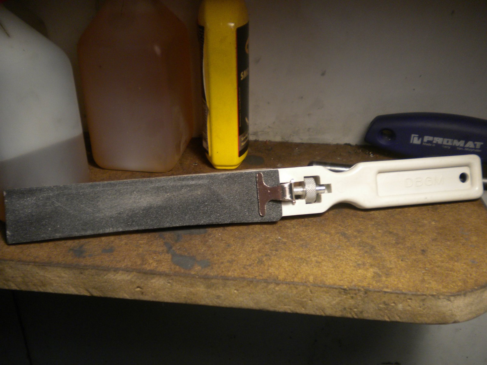 DSCN8590.JPG