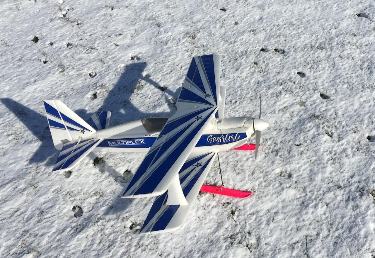 Gemini-Skis.jpg