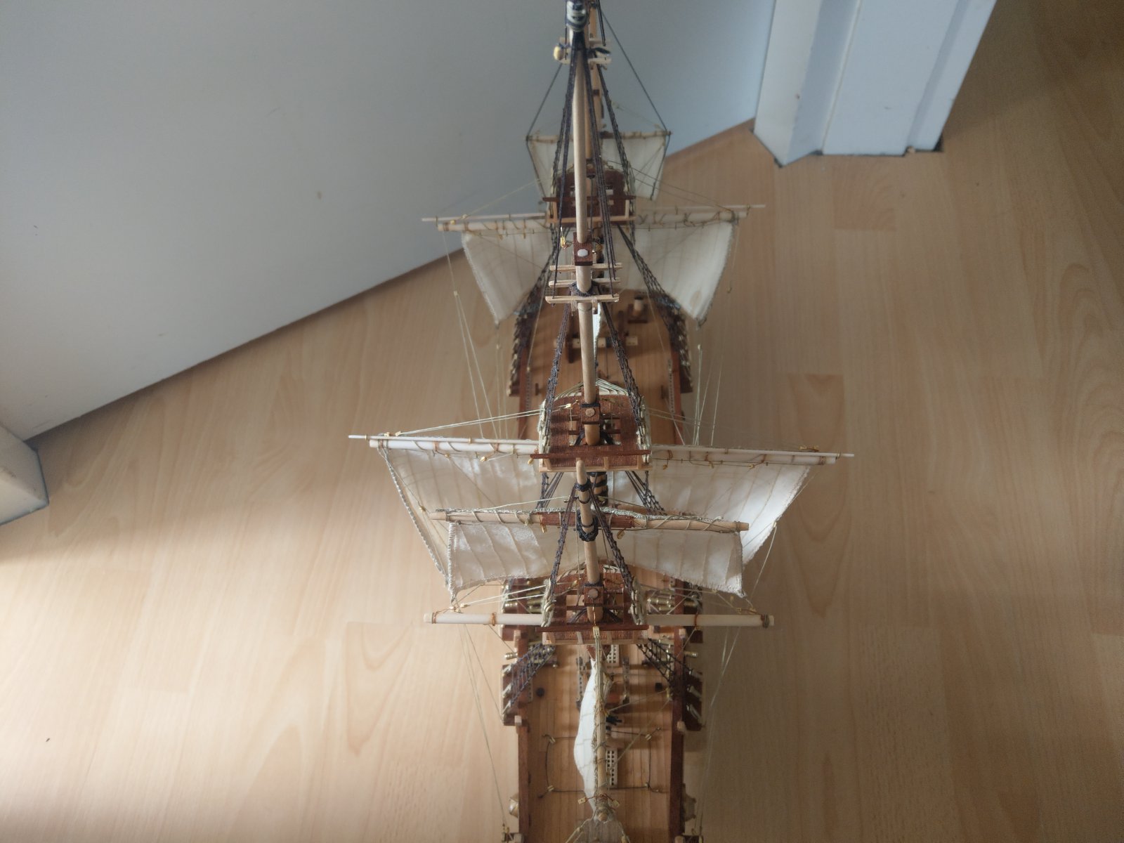 IMAG0221.jpg