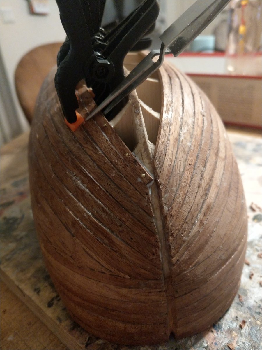 IMAG0686.jpg