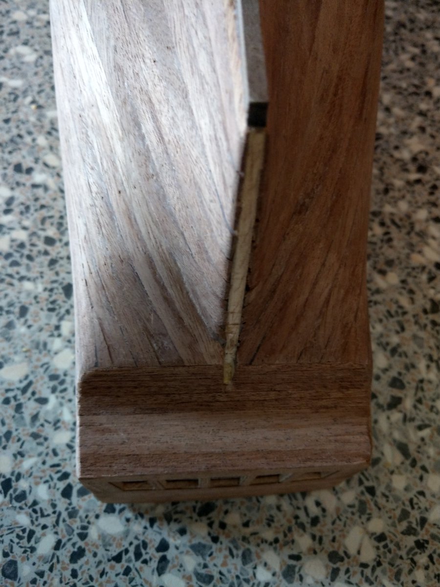 IMAG0734.jpg