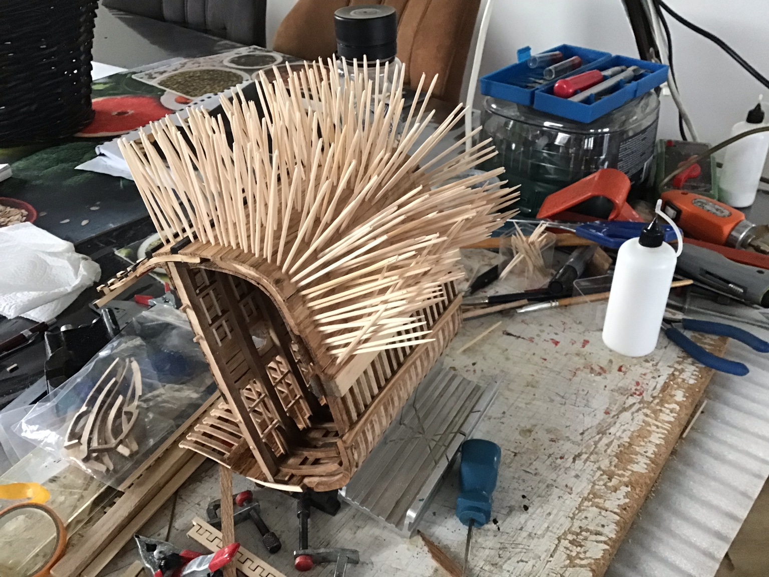 Image1705762541.174175.jpg