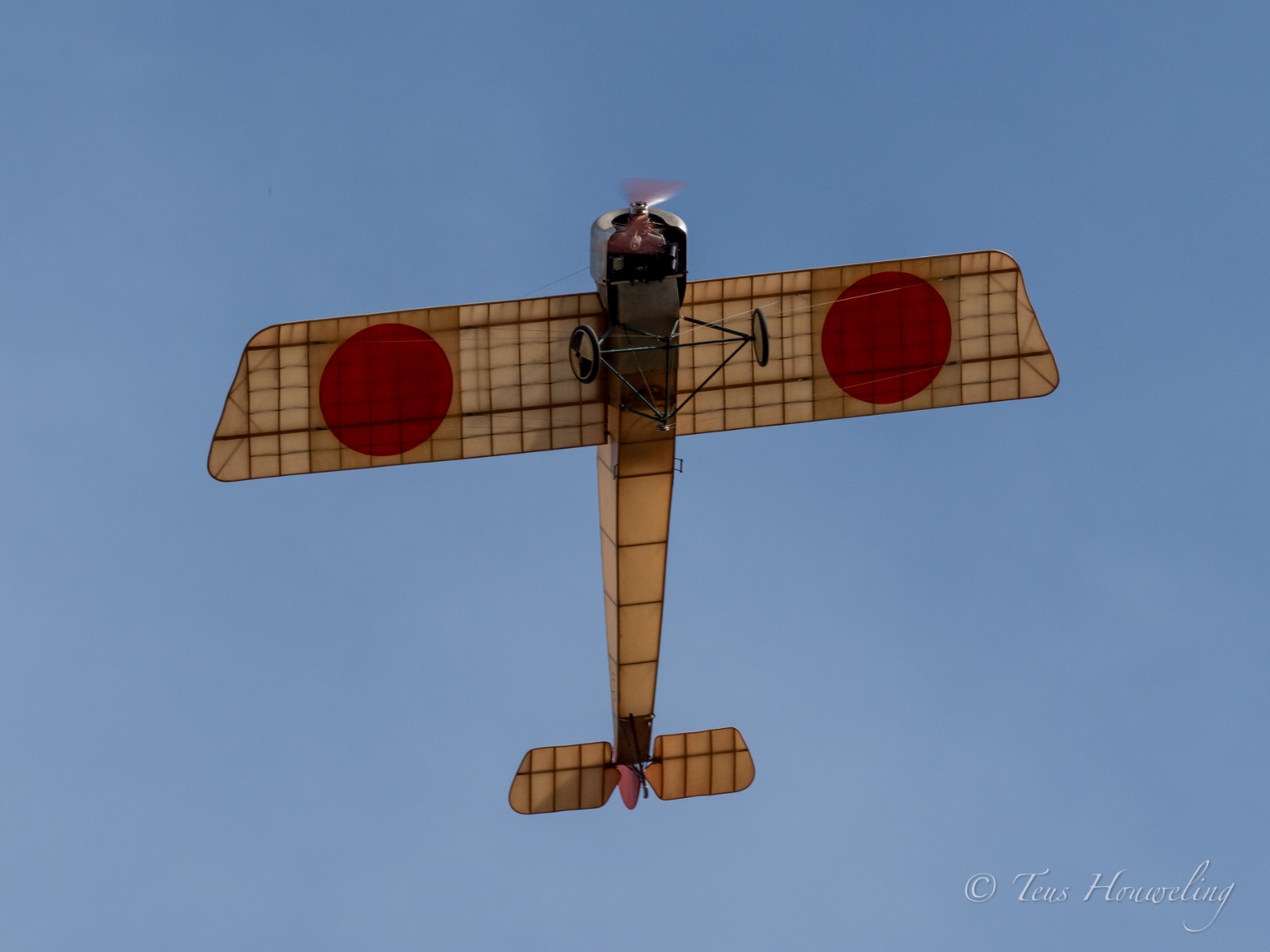 IMG_0608.jpeg