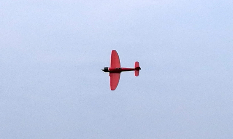 IMG_20171017_180559.jpg