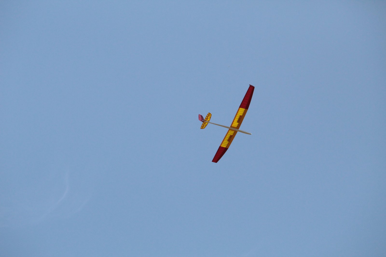 IMG_2307.JPG