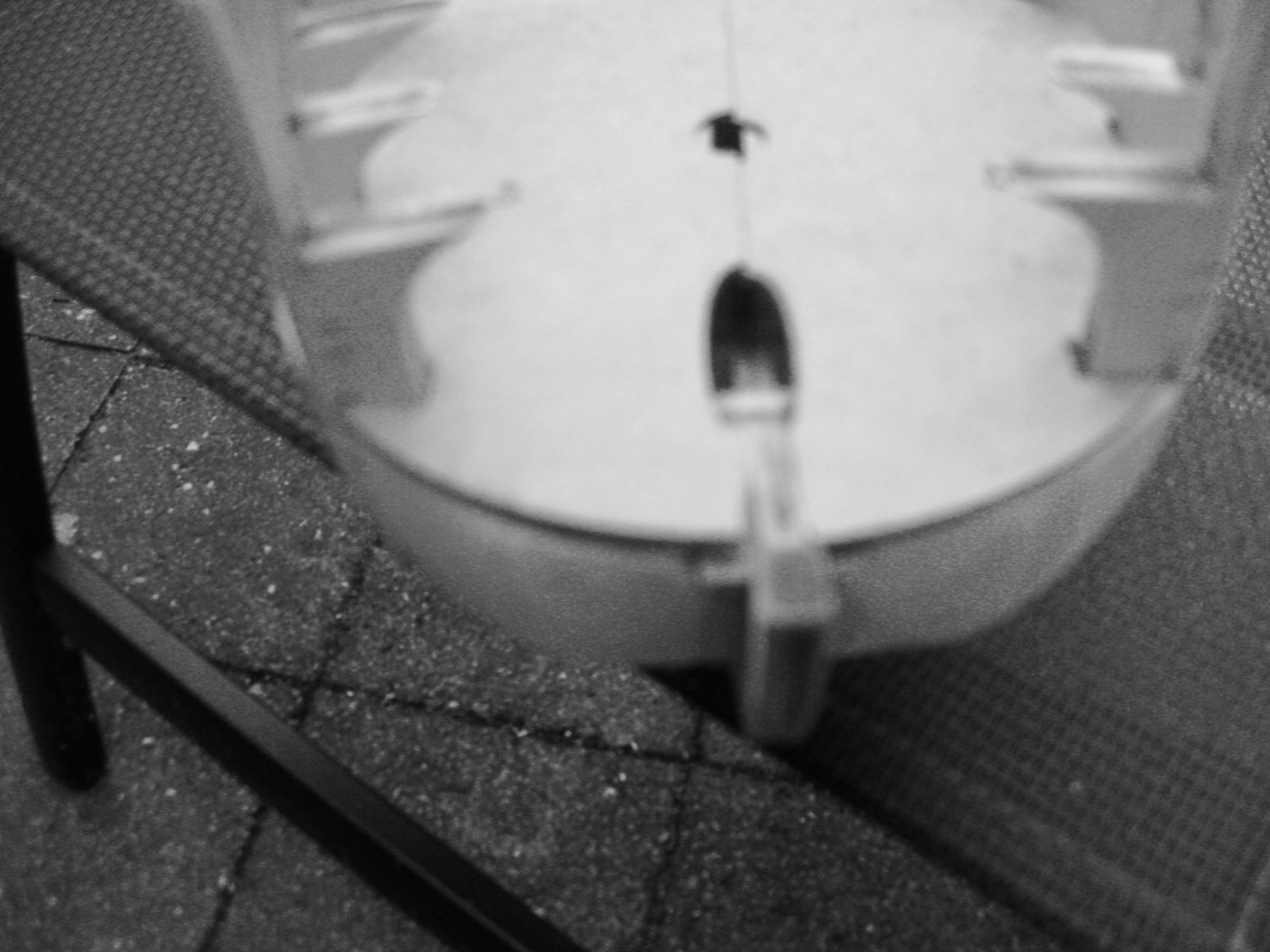 IMG_4535.jpeg