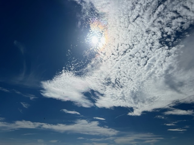 IMG_5372.jpeg