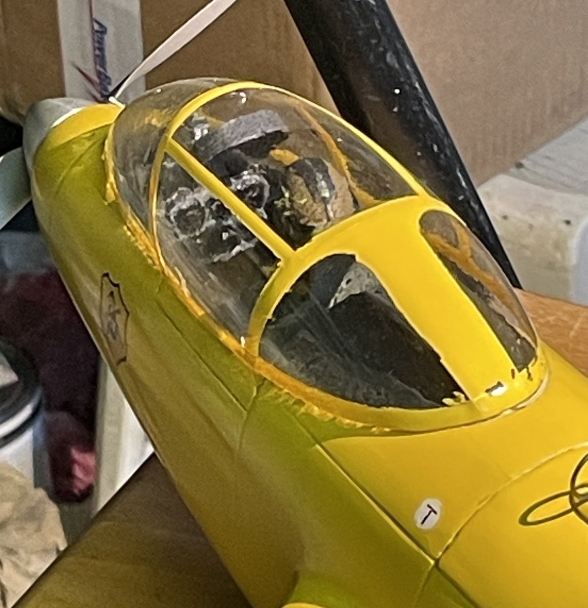 IMG_8311.jpeg