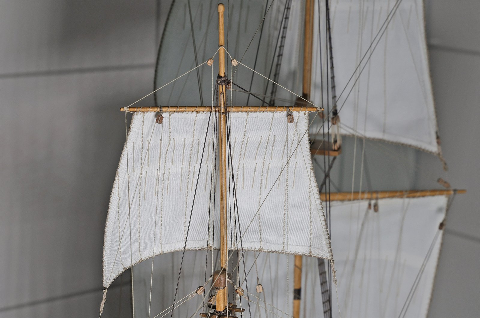 IMGM2219.jpg