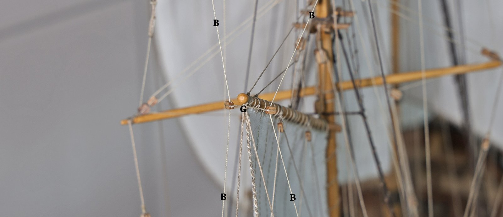 IMGM2221.JPG
