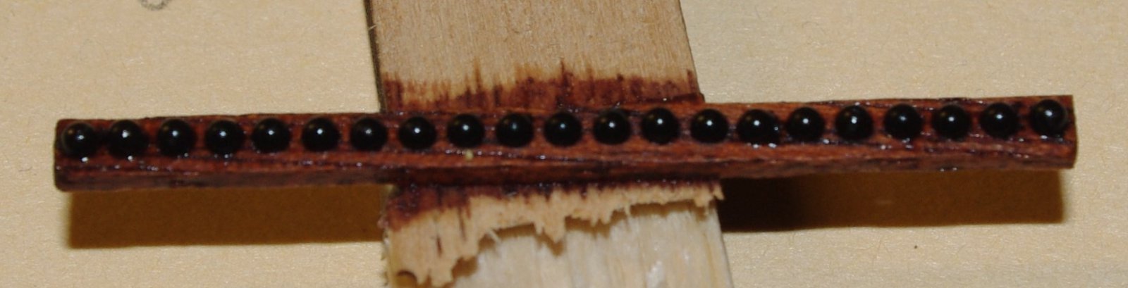 IMGP1284.JPG