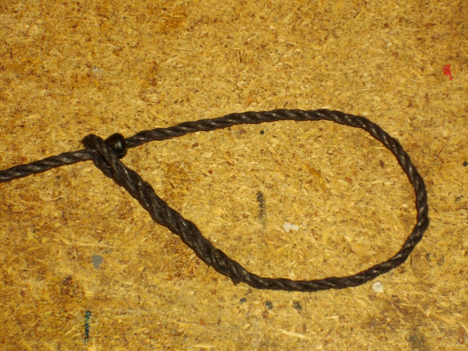 IMGP3880.JPG