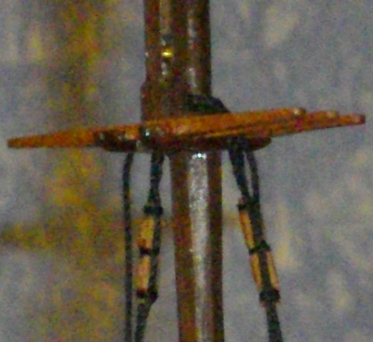 IMGP3954.JPG