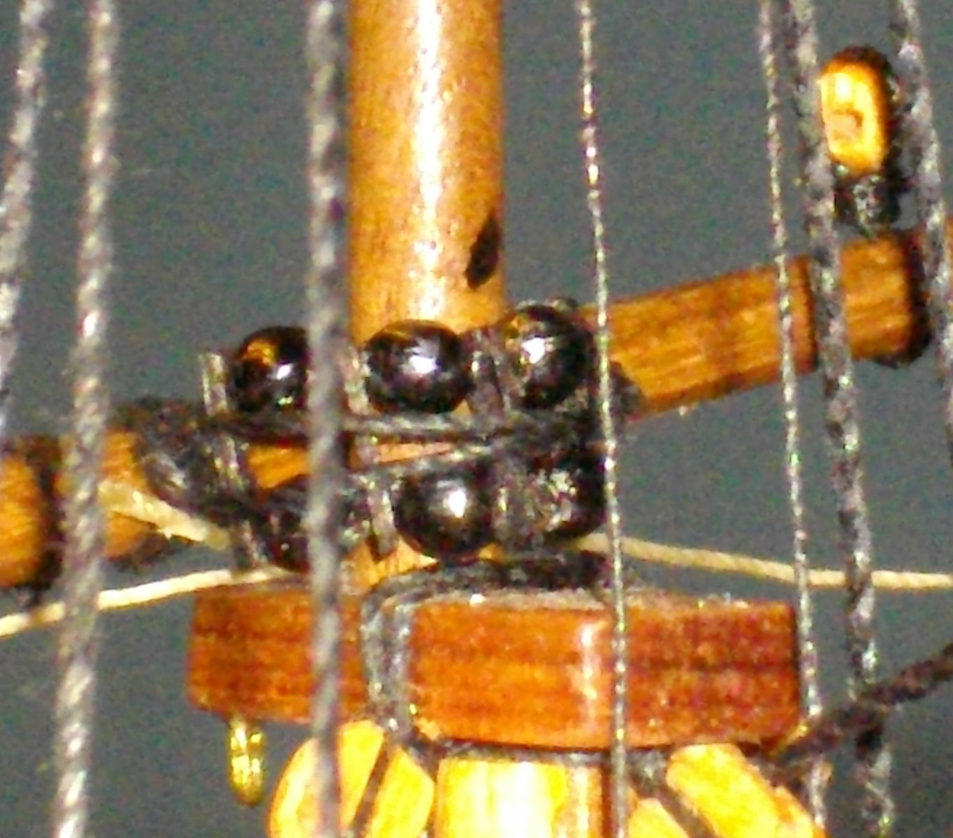 IMGP4039.JPG