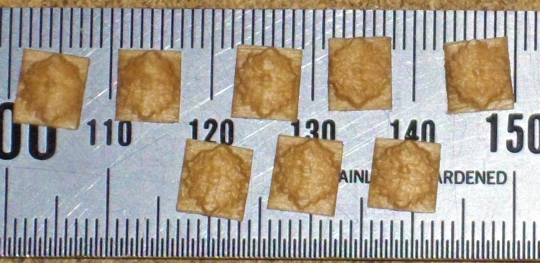 IMGP5293.JPG