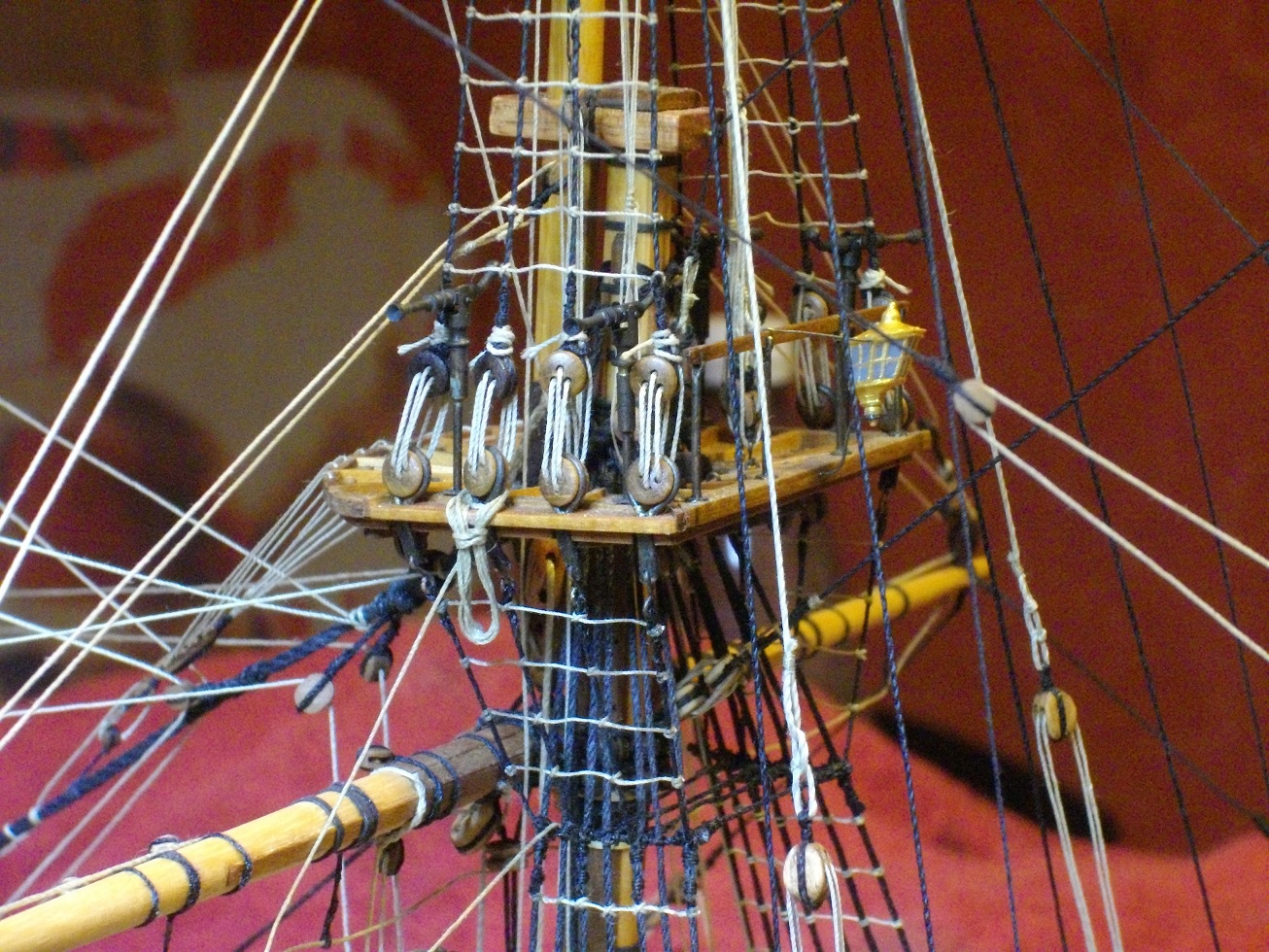 IMGP5371.JPG