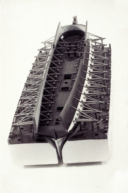 kameel doorsnede Ab Hoving 07 02 14.jpg 2.jpg