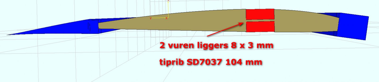 Libelle 37 tiprib buitenvleugel.jpg