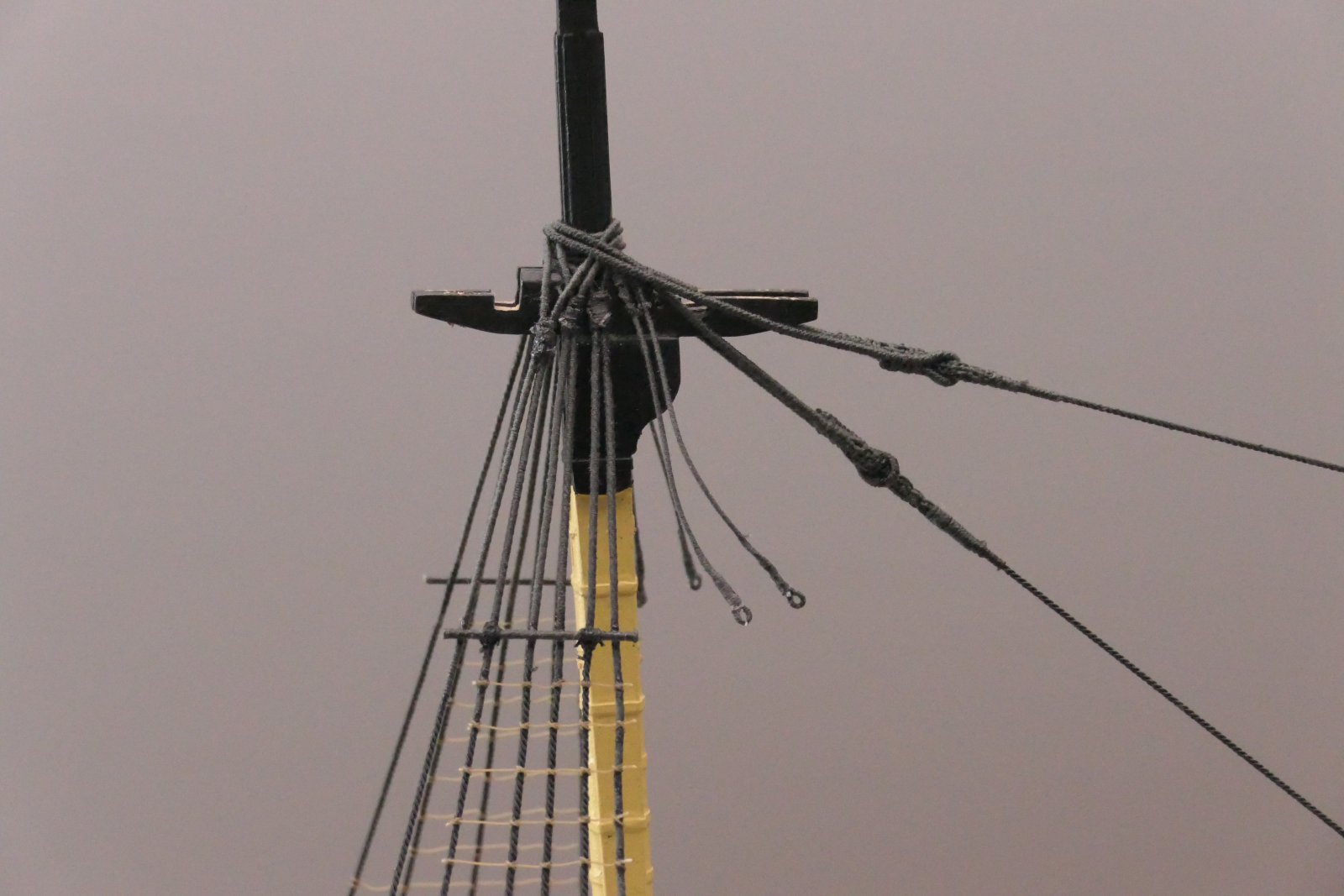 P1034469.JPG