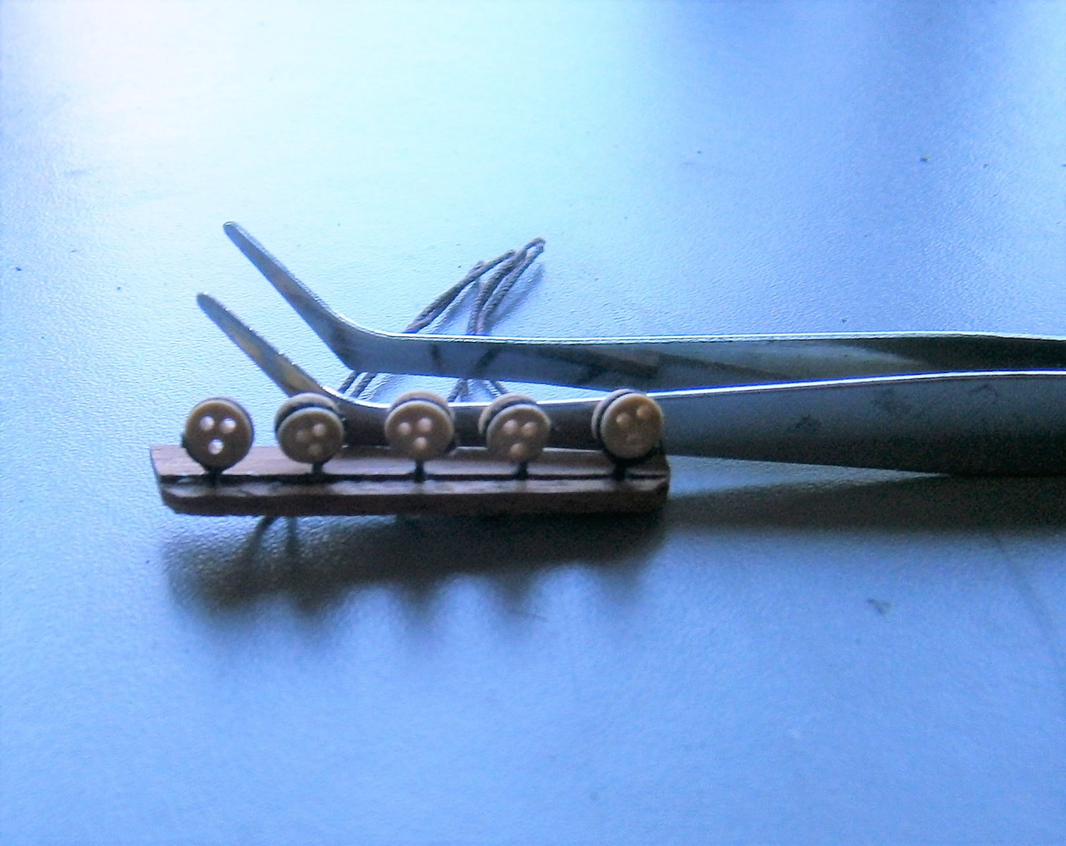 P2270001 (2).JPG
