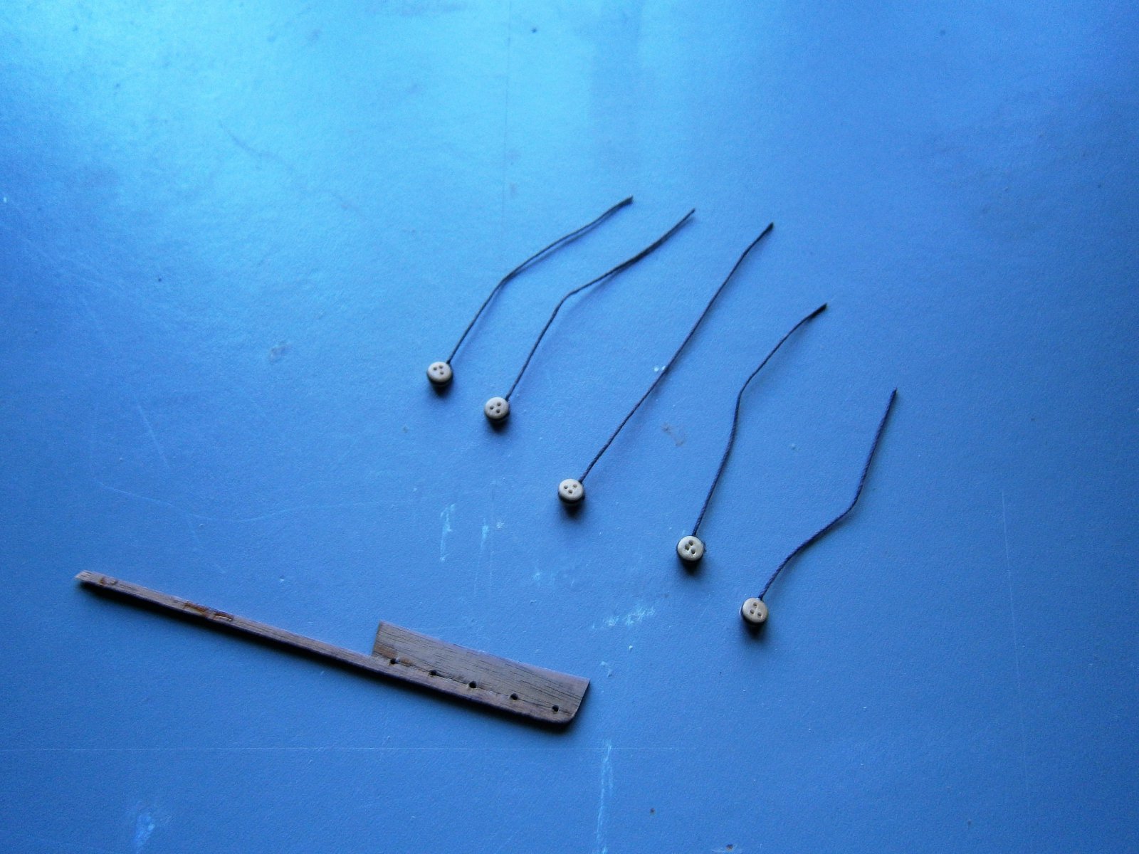 P2270006 (2).JPG