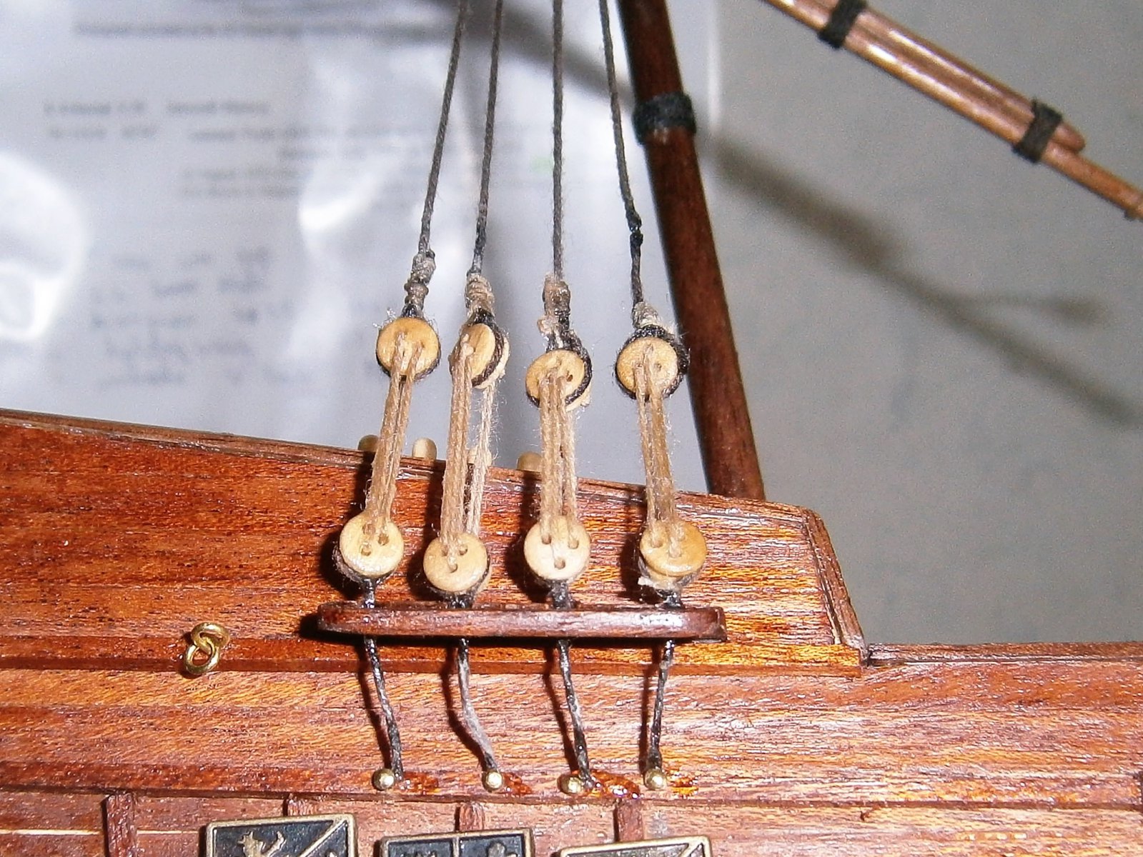 P5040003 (2).JPG