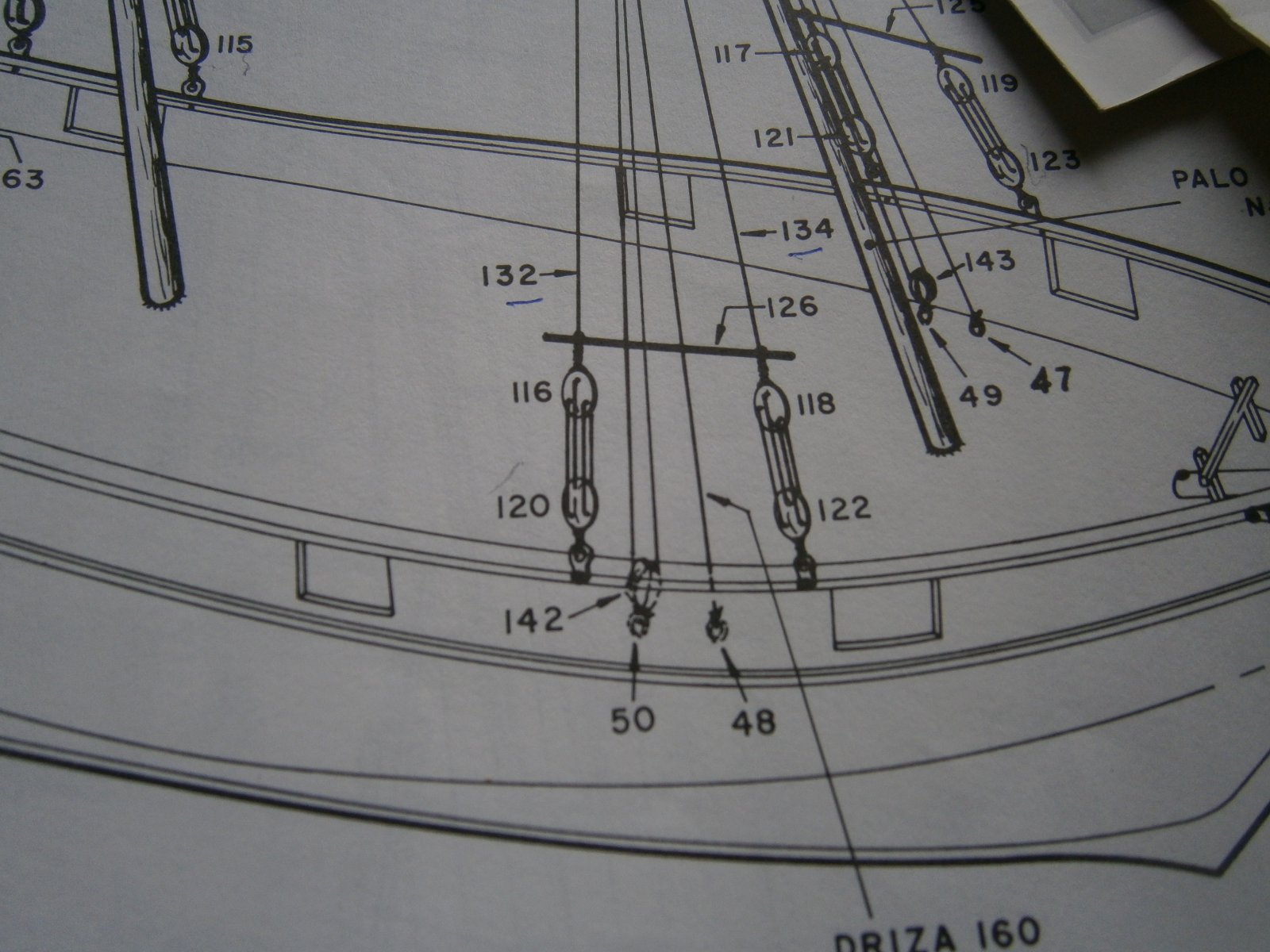 P5160001 (1).JPG