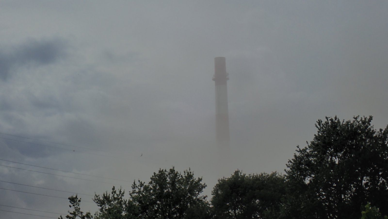 PA020521.JPG