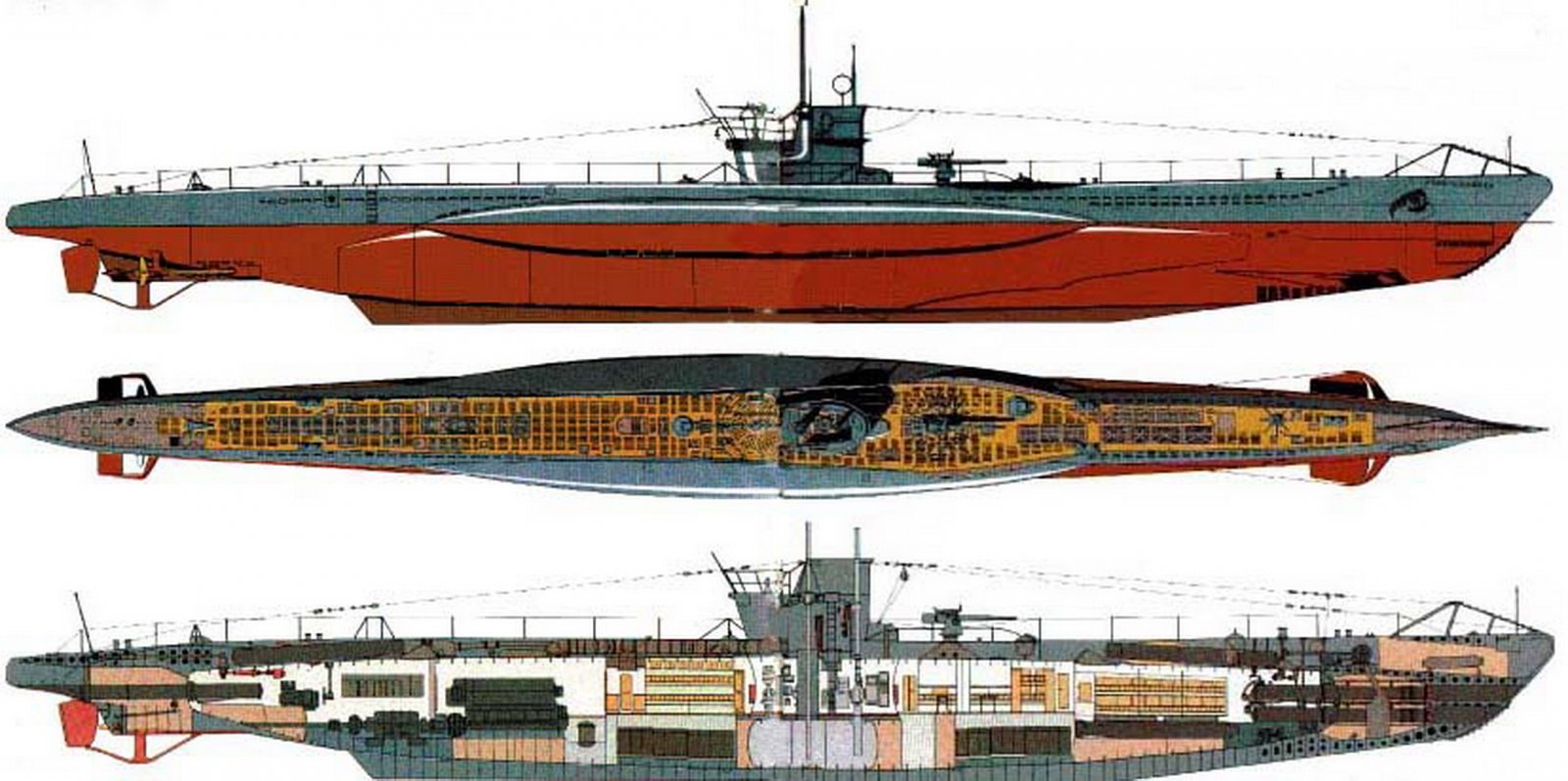 PlyPerfilTipoVIIClg.jpg