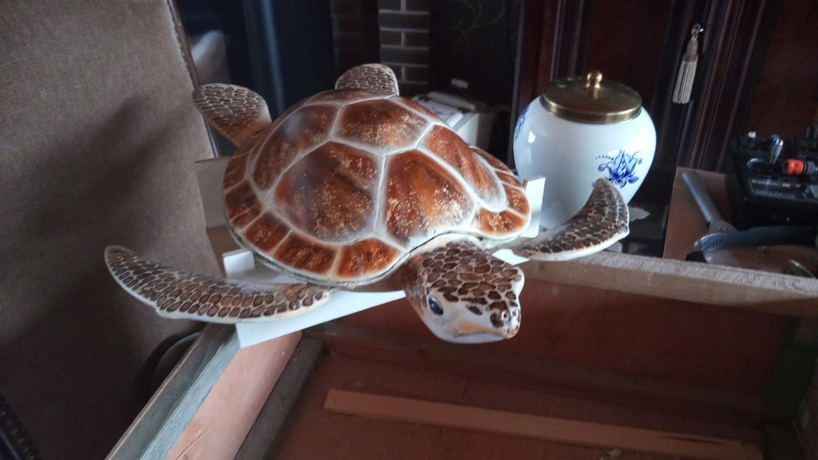 schildpad.jpeg