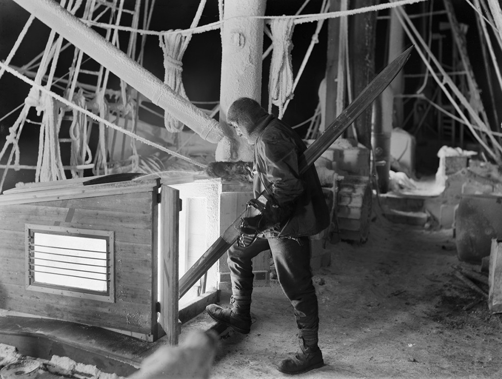 shackleton-3-1024x773.jpg