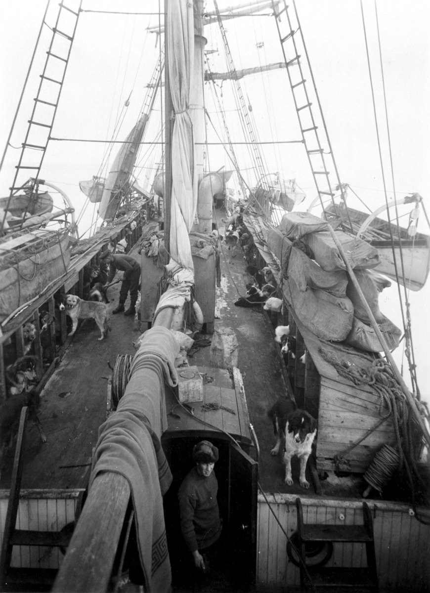 shackleton-8-1024x1411.jpg