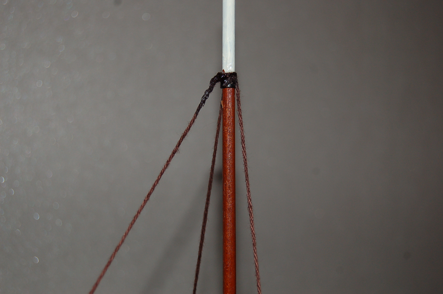 stag 002.JPG
