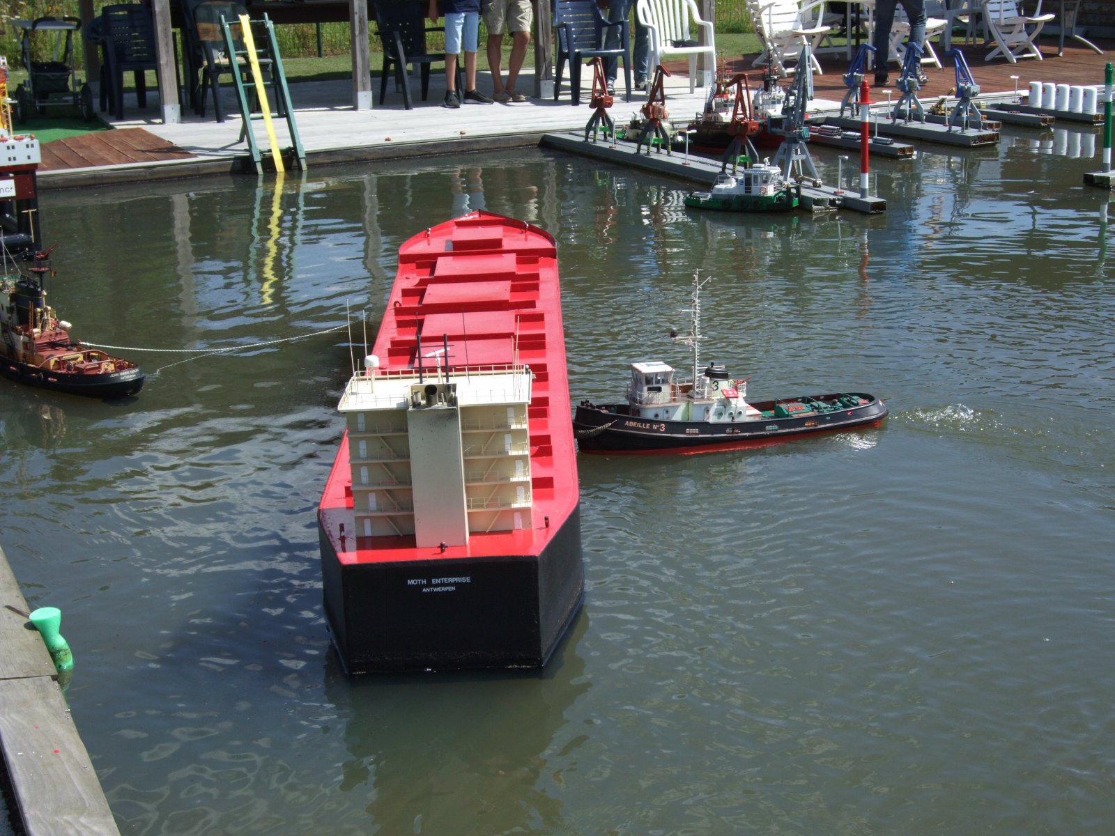 varen moth (26).jpeg